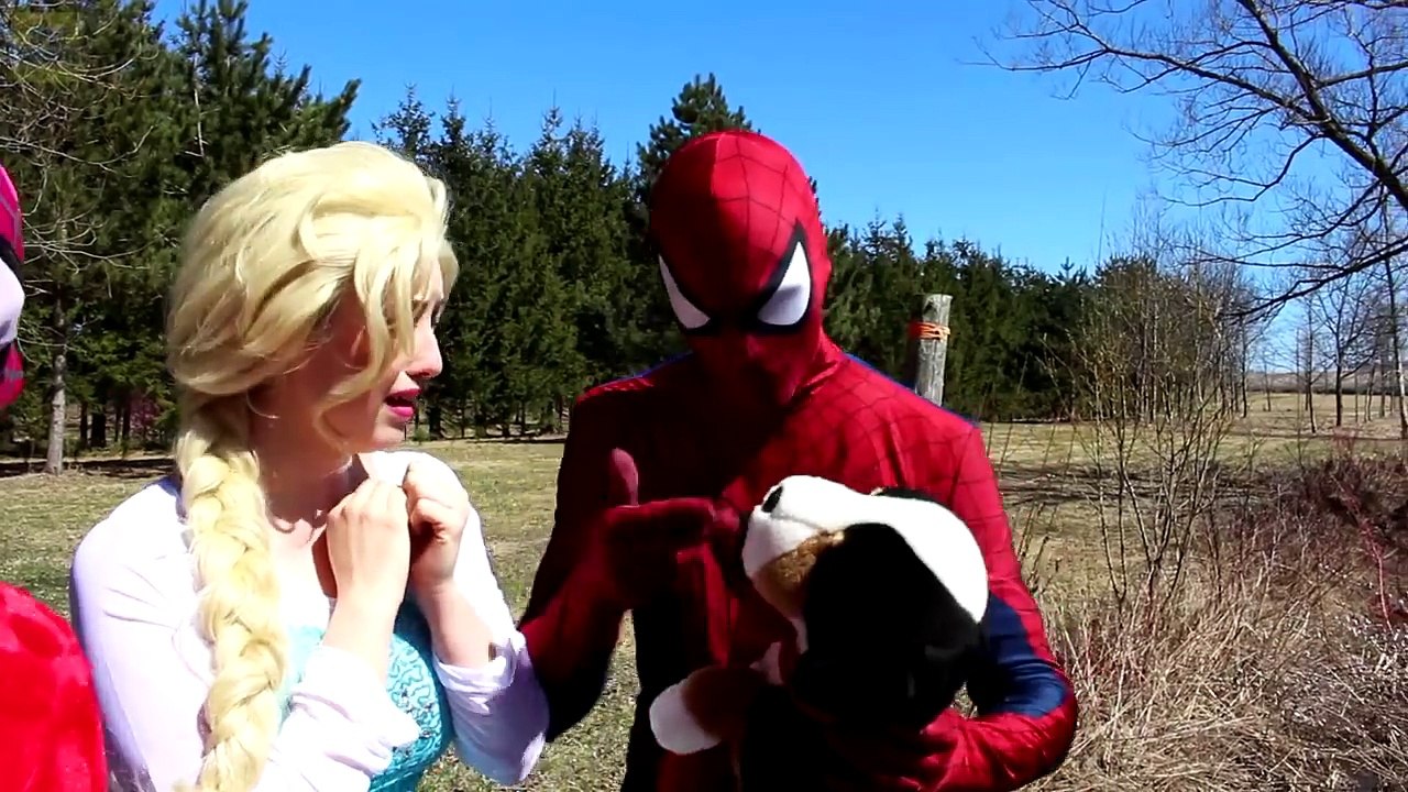 Örümcek Adam  Frozen Elsa'yı Kaçırdı. Pembe Spidergirl Maleficent , Örümcek Adam& Spiderbaby
