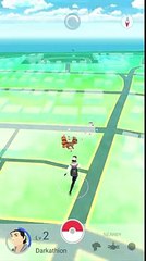 Pokemon Go Beta Gameplay (Aus)