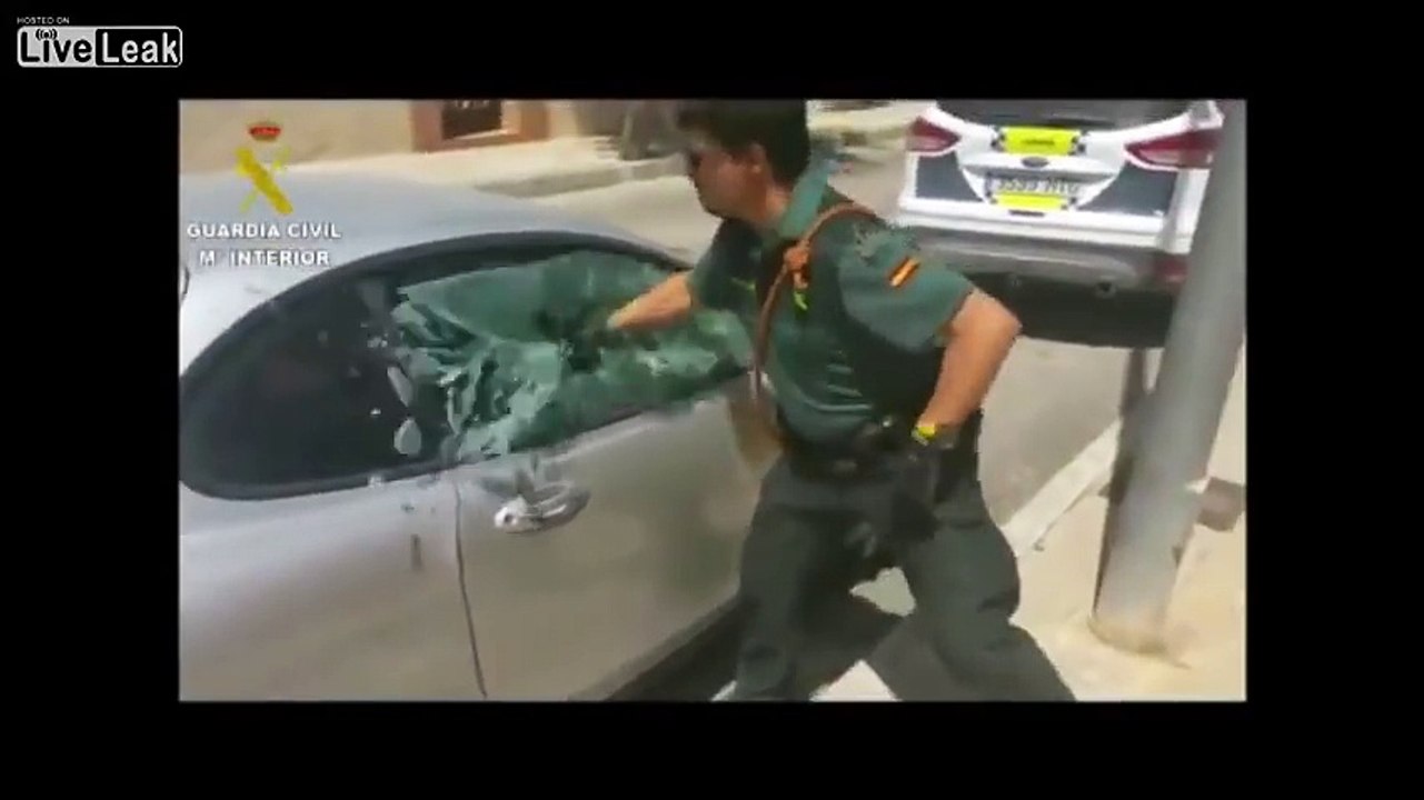 Ce policier brise la vitre d'une voiture pour sauver un pitbull !