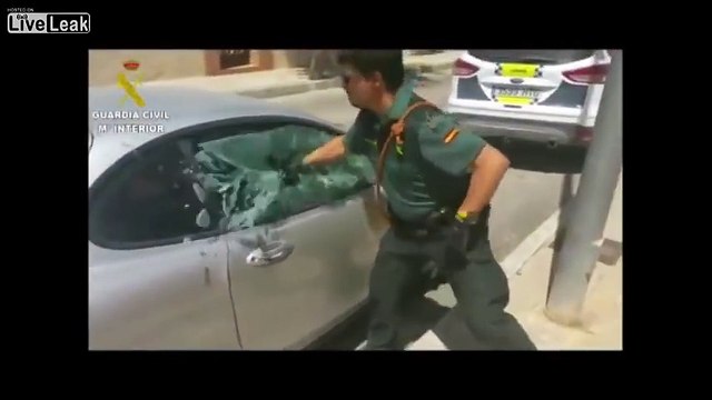 Ce policier brise la vitre d'une voiture pour sauver un pitbull !