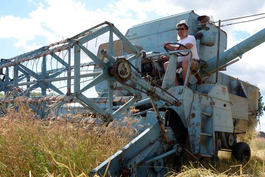 Lot-et-Garonne : Philippe Guichard cultive des variétés de blés anciennes