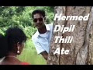 Santhali Modern Traditional Song || Hermed Dipil Thili Ate || YouTube