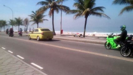 Cat Loves Riding Shotgun on Motorcycle
