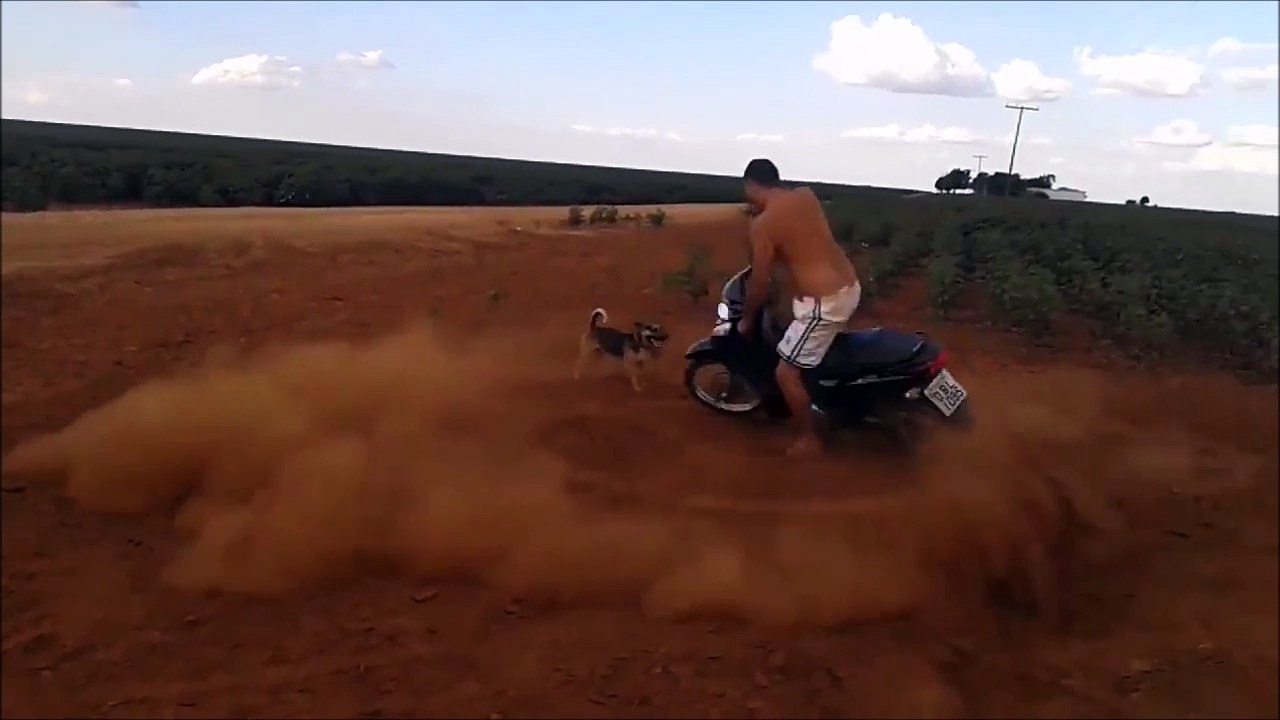 Donut fail : ce motard débile chute à cause de son chien