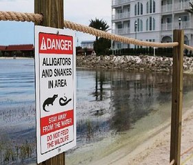 Firefighters Feeding Gators