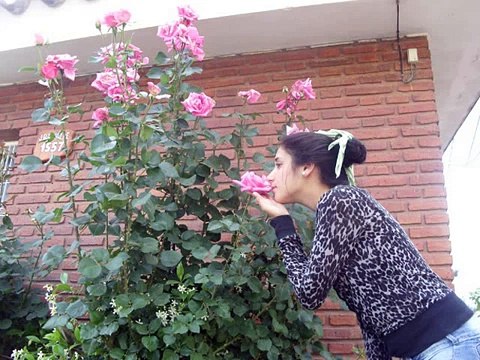 17 Primaveras-Ulises Bueno