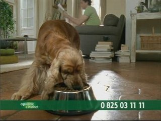 pub equilibre & instinct " le chien" 2007