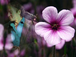 تتر نهاية مسلسل العائد امشى فى طريقك