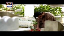 Tum Yaad Aye Episode 23 on Ary Digital 14th July 2016