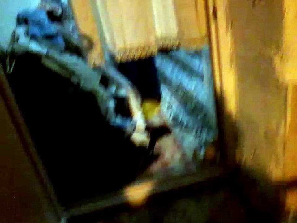 adkez
