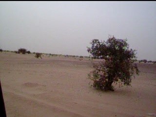 en route à travers le désert