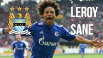 LEROY SANE - Schalke 04 - Goals, Assists, Skills - 2015-16 (HD)