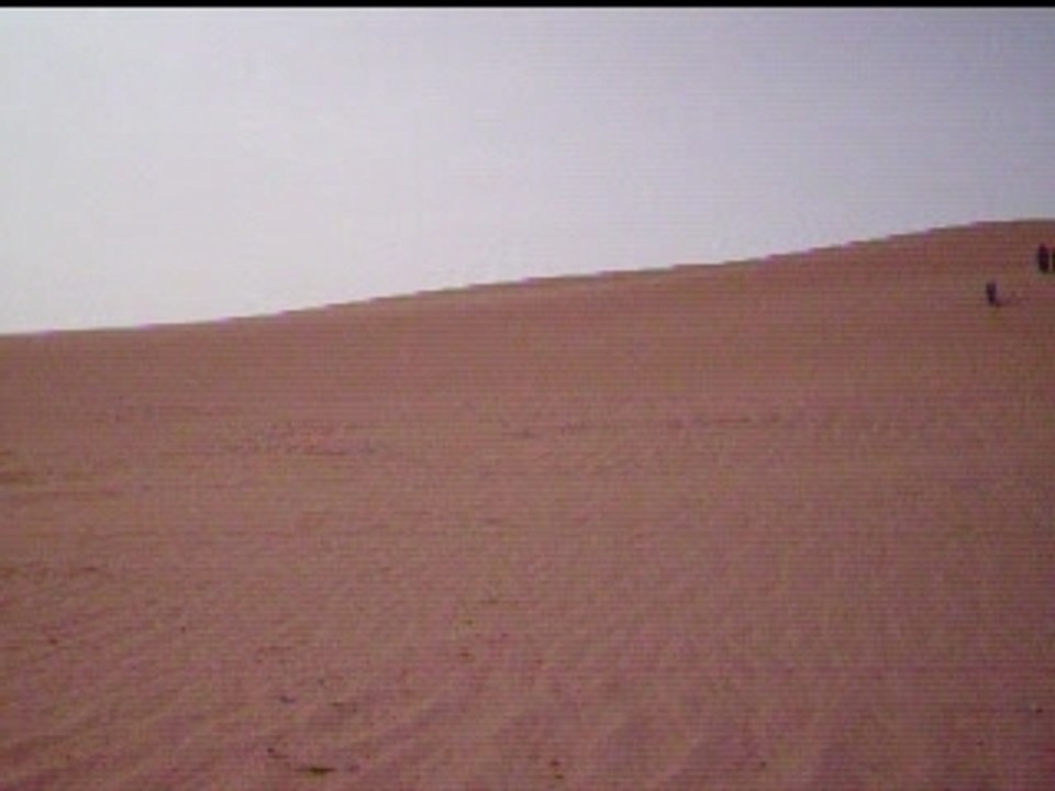 Pause dans le désert.