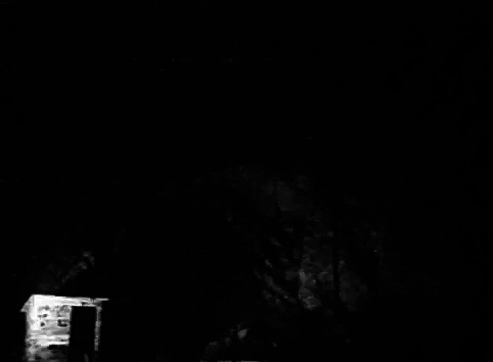Blue Moses (1962, Stan Brakhage )