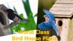 15 Bird House Plans - Simple DIY Bird House Plans