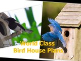 15 Bird House Plans - Simple DIY Bird House Plans