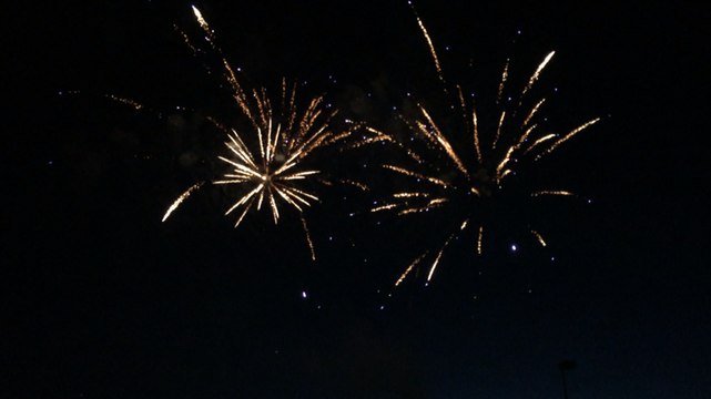 Feu d'artifice au Jardin des plantes