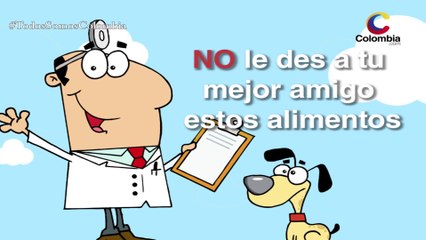 Los alimentos que NO debes darle a tu perro
