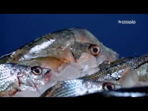Aprenda como limpar e cortar peixe em casa
