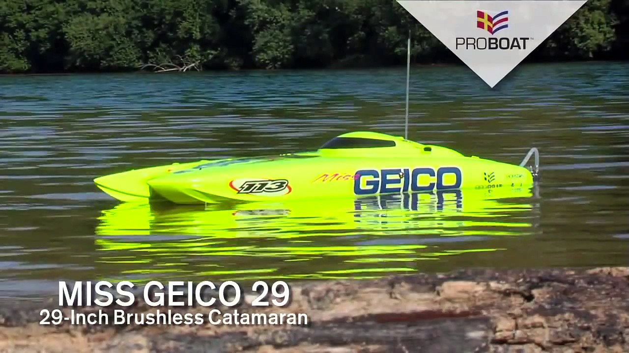 miss geico 29