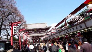 Asakusa 2 - Temple being refurbished