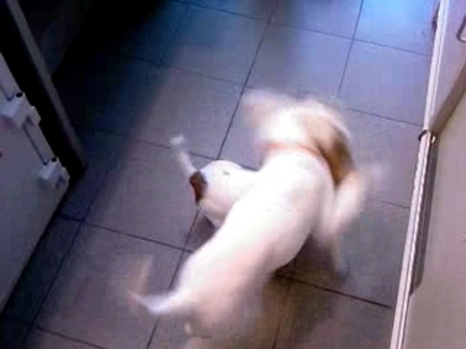 Vidéo-0009