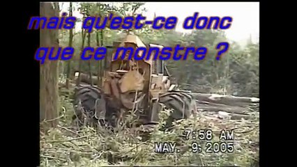 les bûcherons partie 1