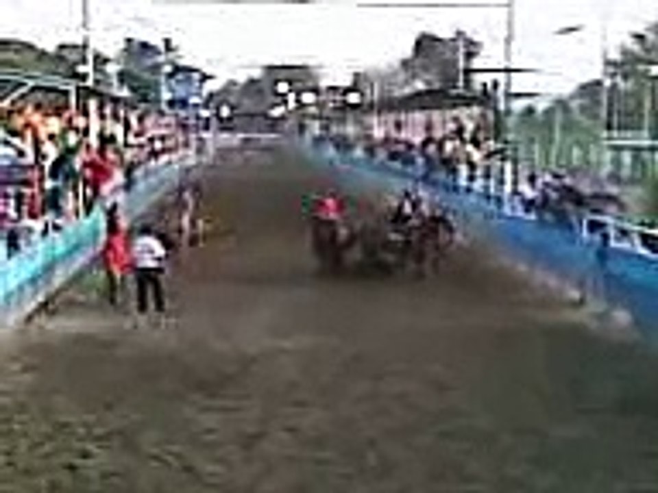 toros coleados barinas 10