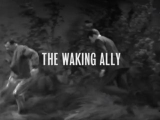 The Dalek Invasion of Earth (5) - The Waking Ally