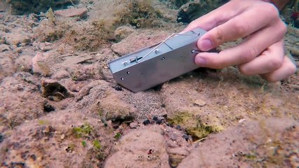 Catching a BOBBIT WORM 2