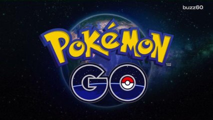 Animal Shelter Wants Pokemon Go Players to Walk Their Dogs