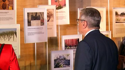 Presidente alemán pide perdón a Chile