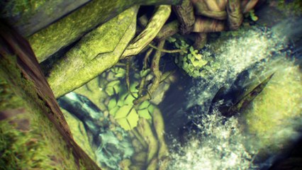 Warframe - Titania Trailer