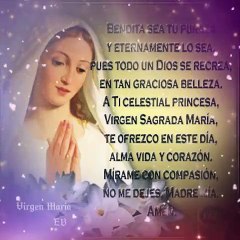 Bendita sea tu Pureza