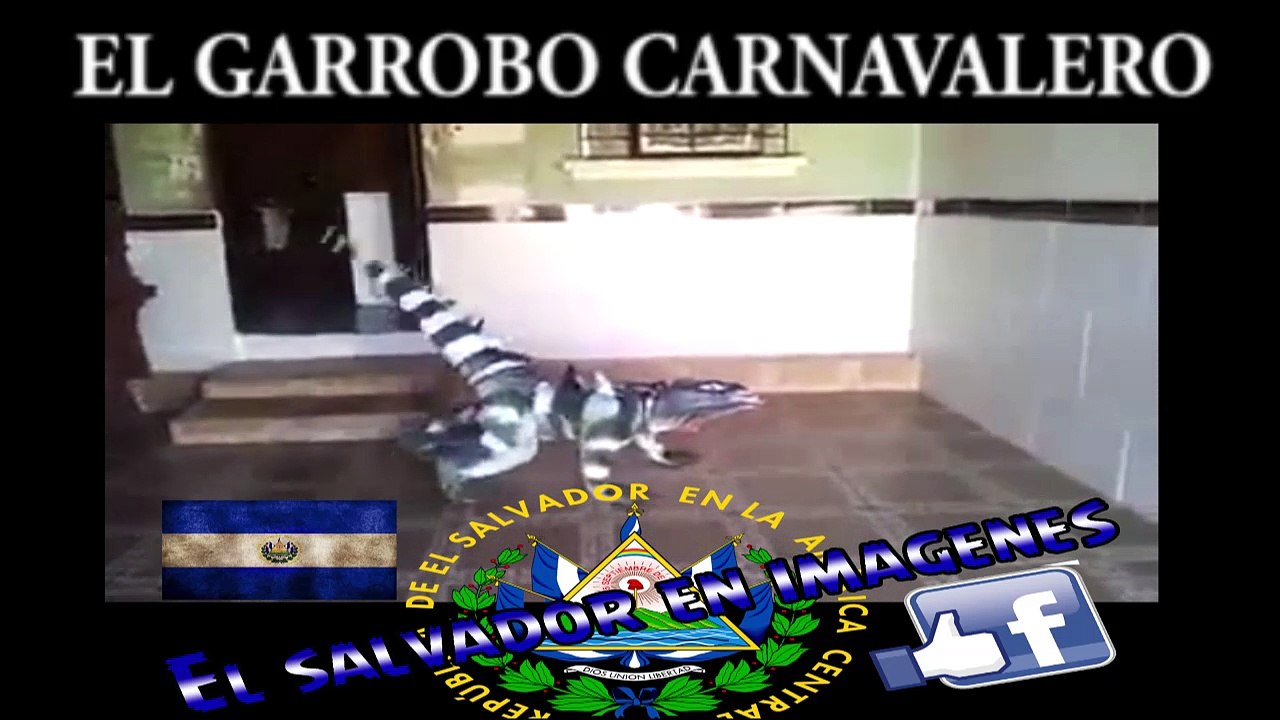 Asi baila el garrobo carnavalero