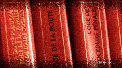 Loi : fumer dans son véhicule sera-t-il bientôt interdit ?