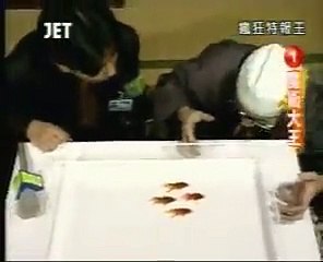 Des poissons rouges dressés font un spectacle de natation synchronisée