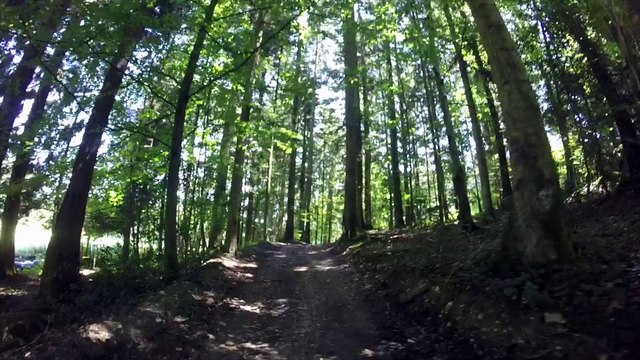 Forêt et Campagne Merlas Pays Voironnais