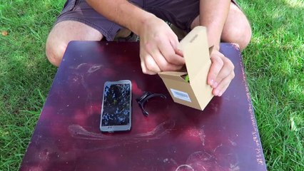 7 Dog Gadgets Put to the Test