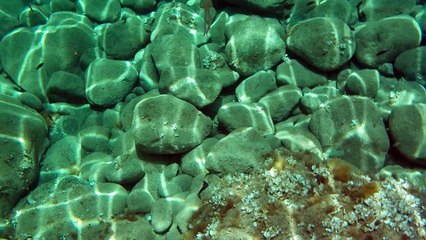 Fondali Panteschi - Punta Ciaccazza - Isola di Pantelleria - 9 Luglio 2016