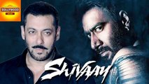 Salman Khan Make A Special Appearance In Ajay Devgn's Shivaay? | Bollywood Asia