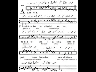 Alleluia Exsultate Deo, Dominica XVII TpA (17è TO)