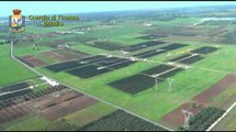 Operazione Elios, il sequestro di 19 campi fotovoltaici targati Degennaro