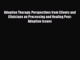 Read Adoption Therapy: Perspectives from Clients and Clinicians on Processing and Healing Post-Adoption