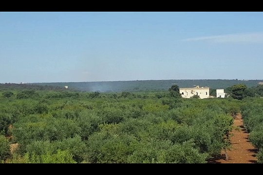 Spento con i Canadair l'enorme incendio boschivo nell'Alta Murgia, ad Altamura