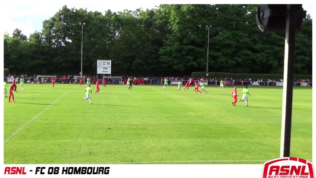 Regarde Morue des bois