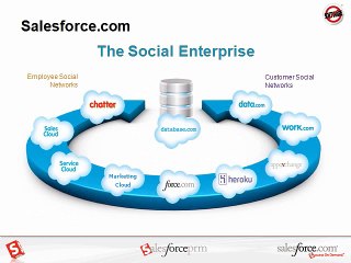 SALES FORCE Online Training @ MaxMunus
