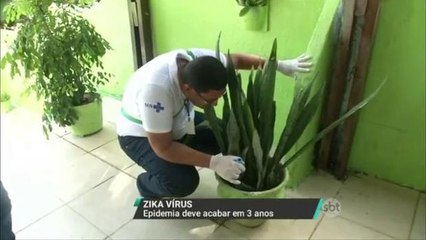 Epidemia de zika vírus vai acabar em três anos