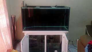 I LIKE DIY: PVC Overflow for aquarium (Part 2)