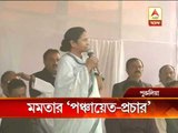 Mamata Banerjee on panchayat campaign